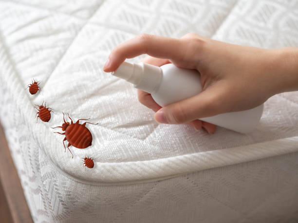 Professional Pest Control in Groveville, NJ